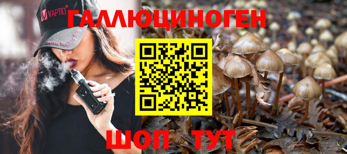Псилоцибиновые грибы ЛСД Железногорск